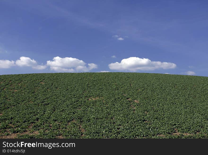 Background of cloudy sky and grass. Background of cloudy sky and grass