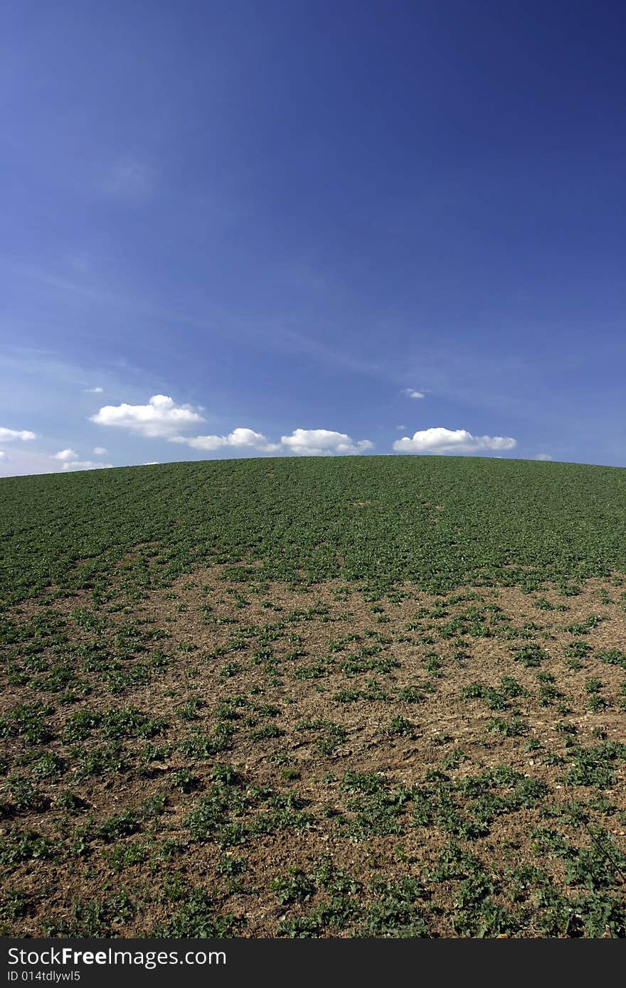 Background of cloudy sky and grass. Background of cloudy sky and grass