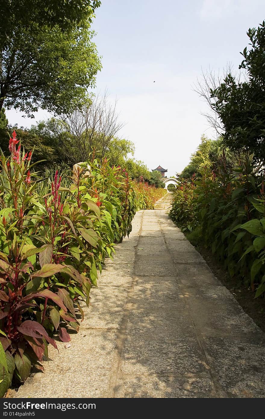 The alley of a park in china