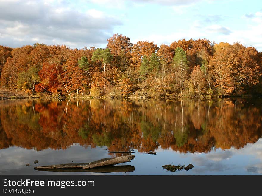 Lake At Autumn