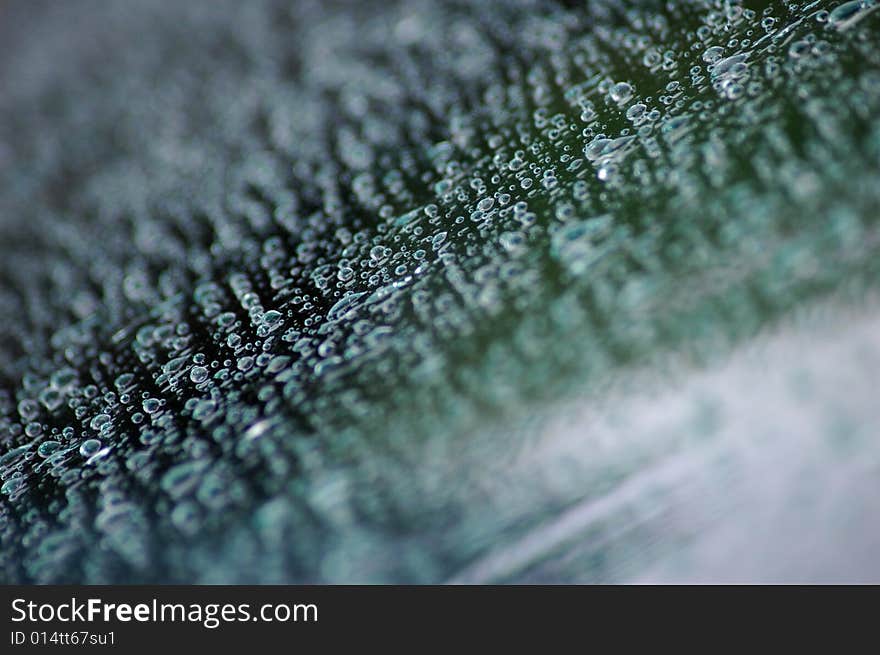 Green raindrops on the front screen of a car