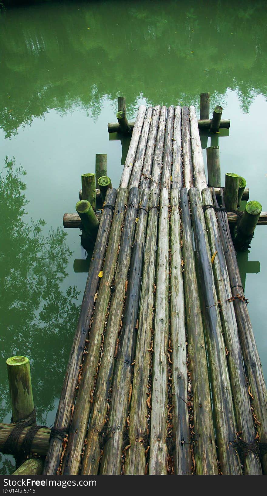 The shore of Hangzhou Xixi wooden pier. The shore of Hangzhou Xixi wooden pier