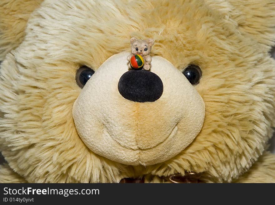 A very small teddy bear standing on top of a nose of a much bigger one. A very small teddy bear standing on top of a nose of a much bigger one