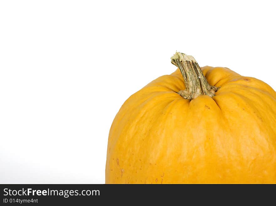 Close-up of orange pumpkin against white background