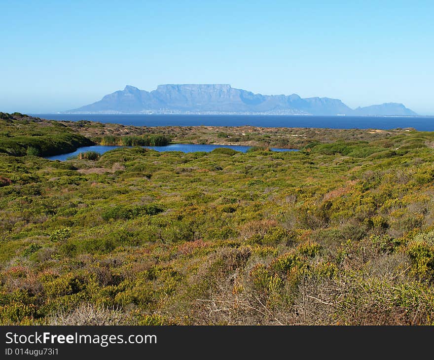 Table Mountain