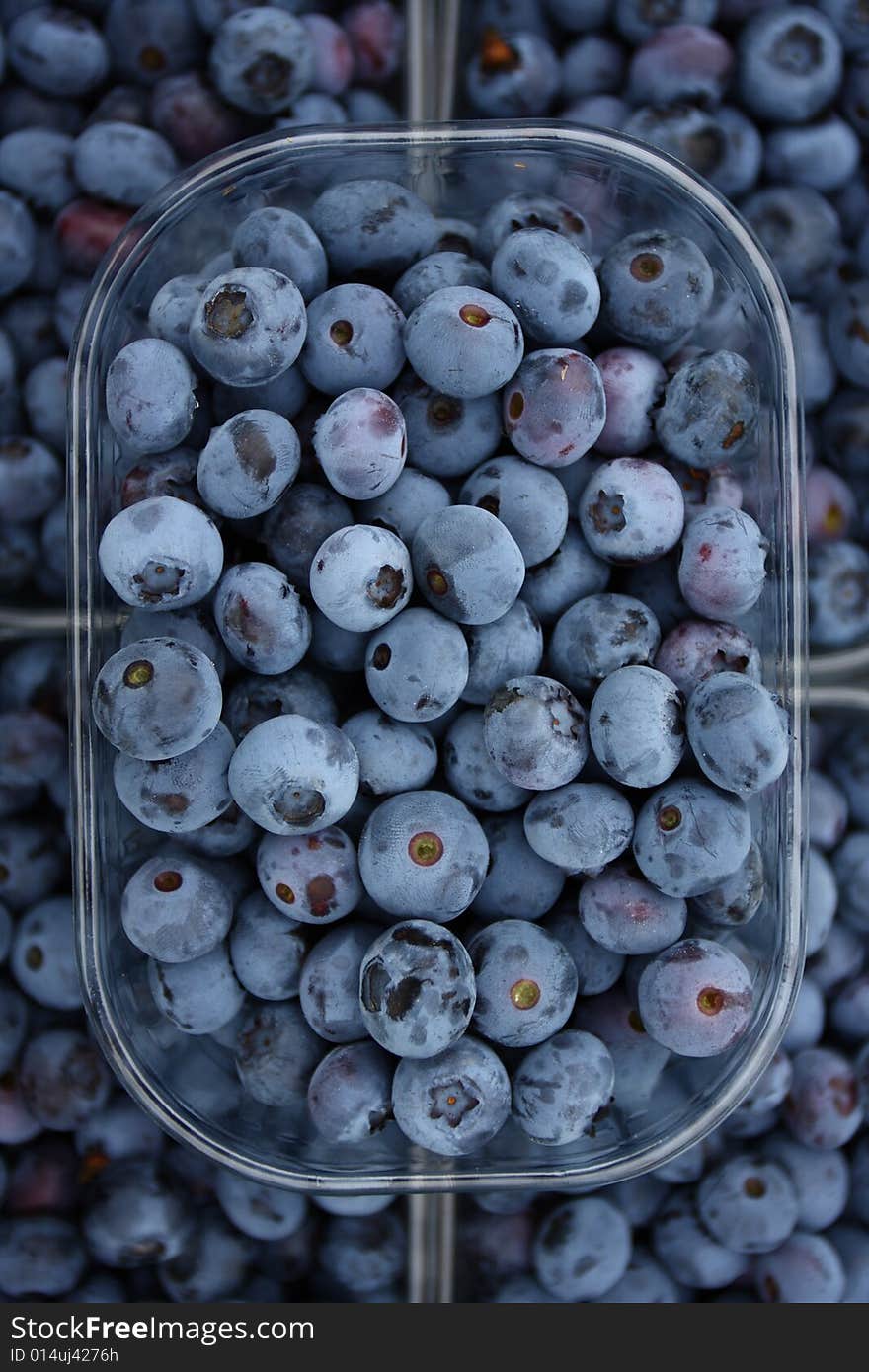 Blueberry in a few plastic containers