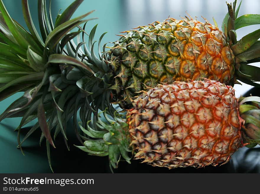 A big pineapple and a small pineapple side by side. A big pineapple and a small pineapple side by side.