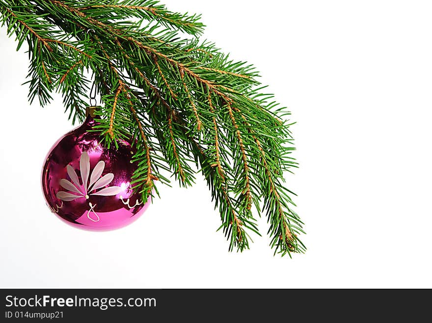 Fir-tree  twig and red ball