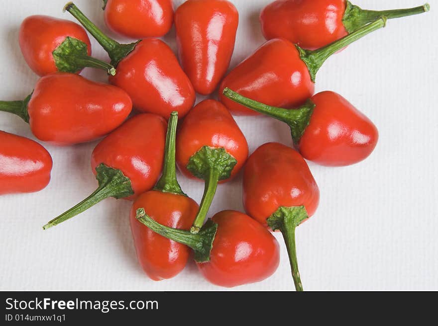 Bright red chillies on a white background