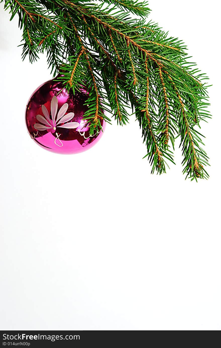 Fir-tree  twig and red ball