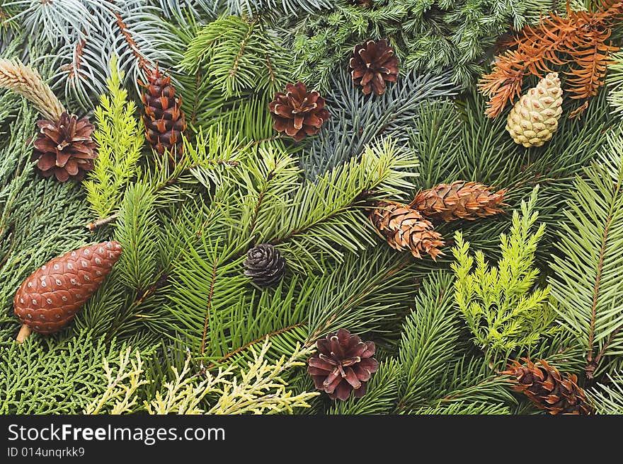 Christmas background made with branches of pines