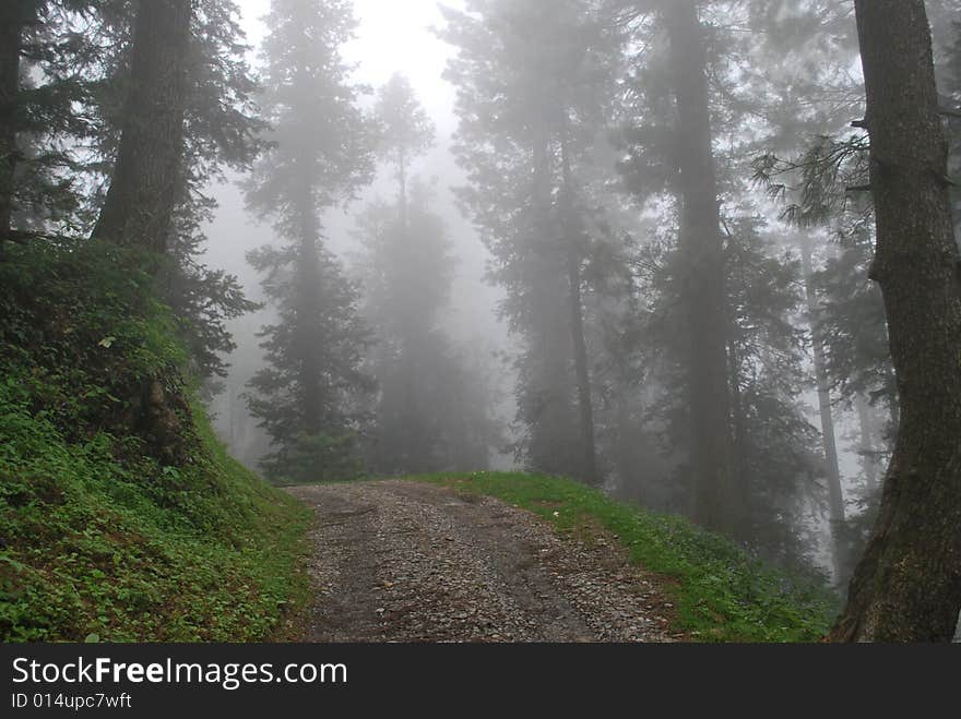 A road track