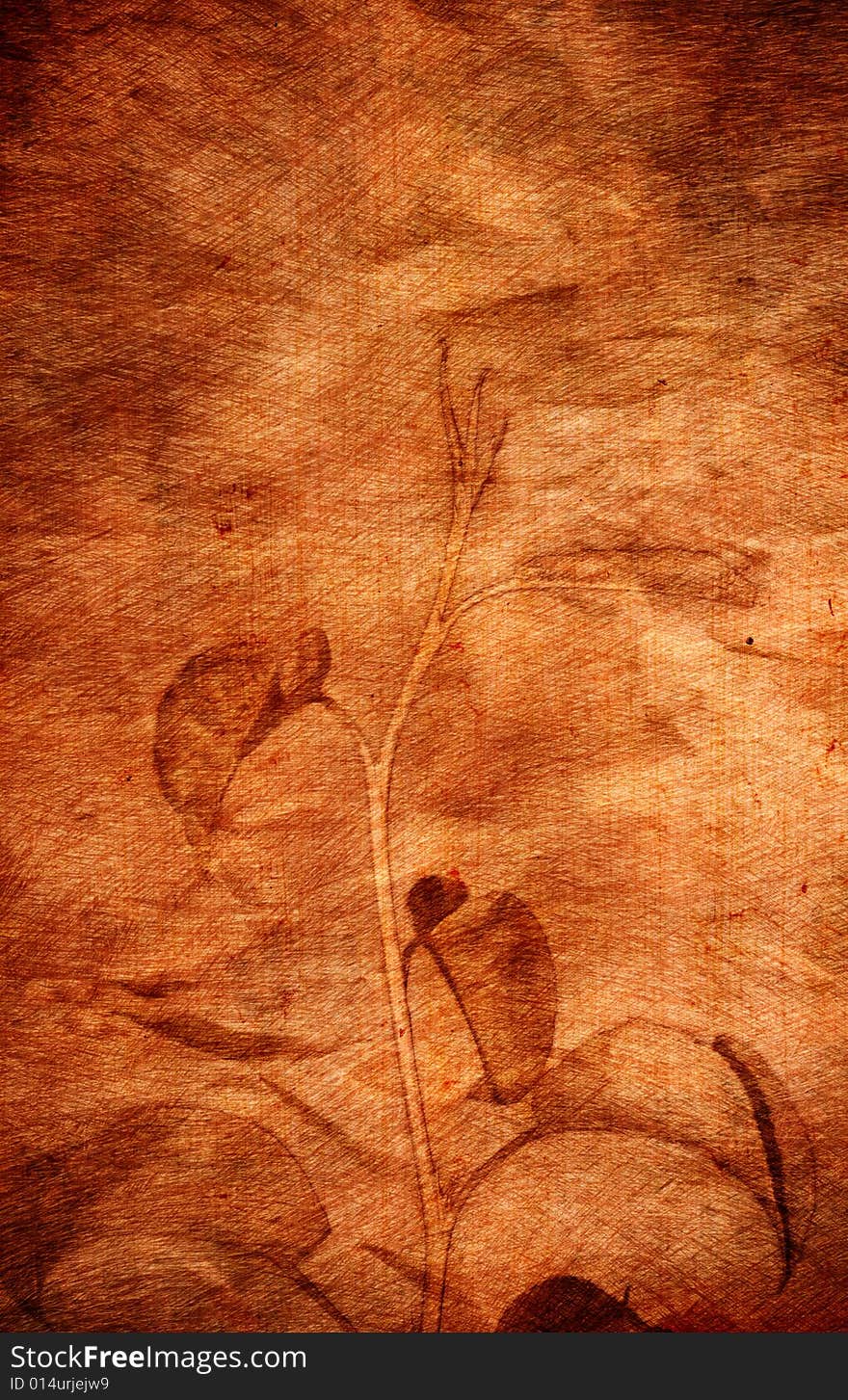 Aged background with plant close up