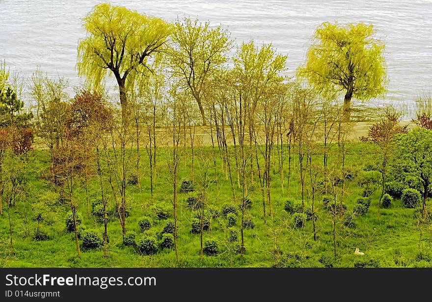 Danube in fall