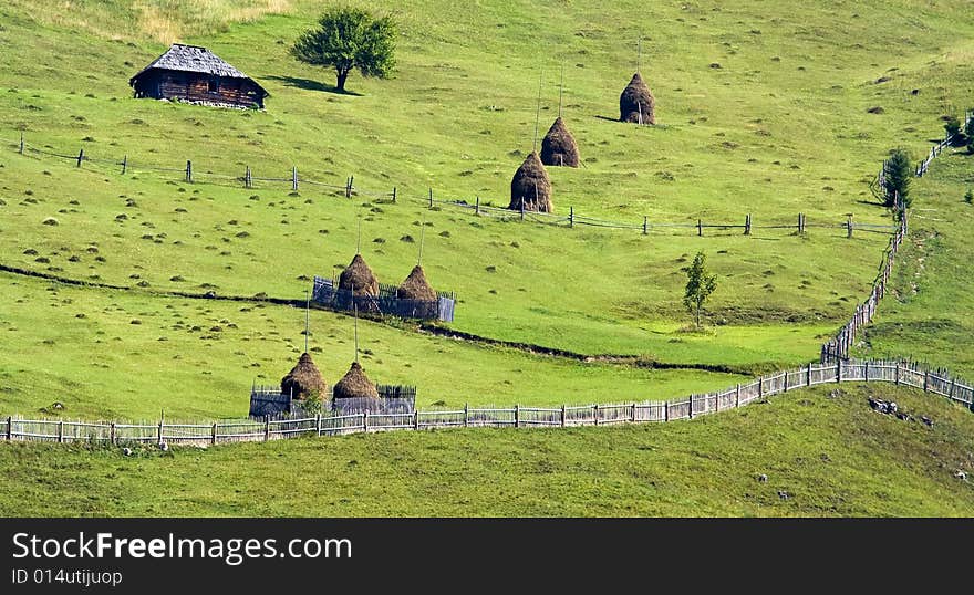 Rural landscape with lush green fields and farm house. Rural landscape with lush green fields and farm house