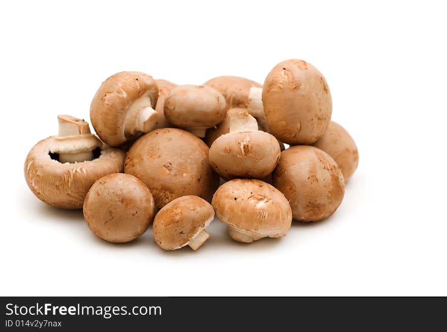 Brown champignon on white background