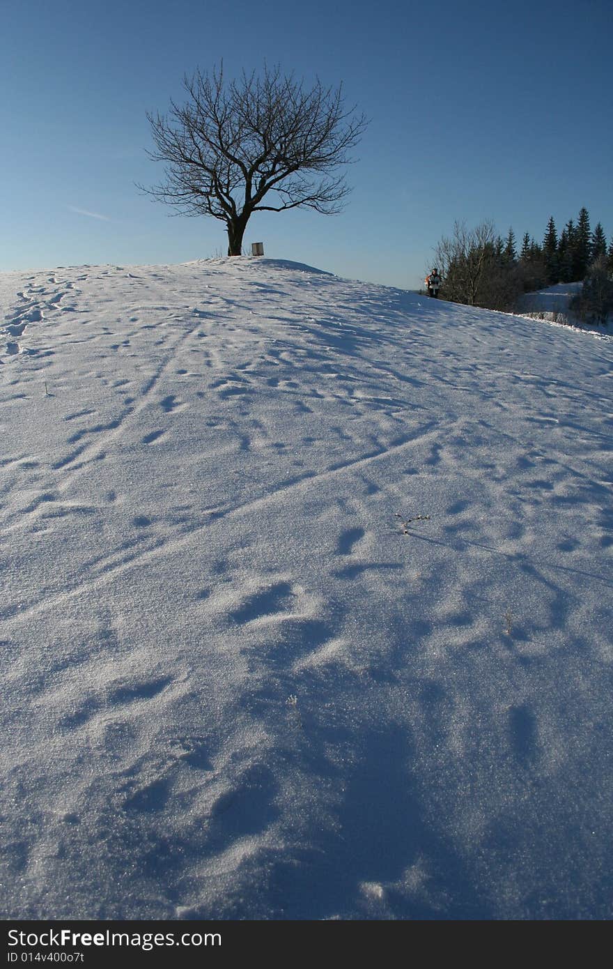 Winter in mountains. Tree on the top of the mountain in Beskidy, Poland. Winter in mountains. Tree on the top of the mountain in Beskidy, Poland.