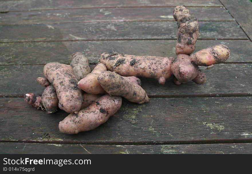 Potatoes Harvested