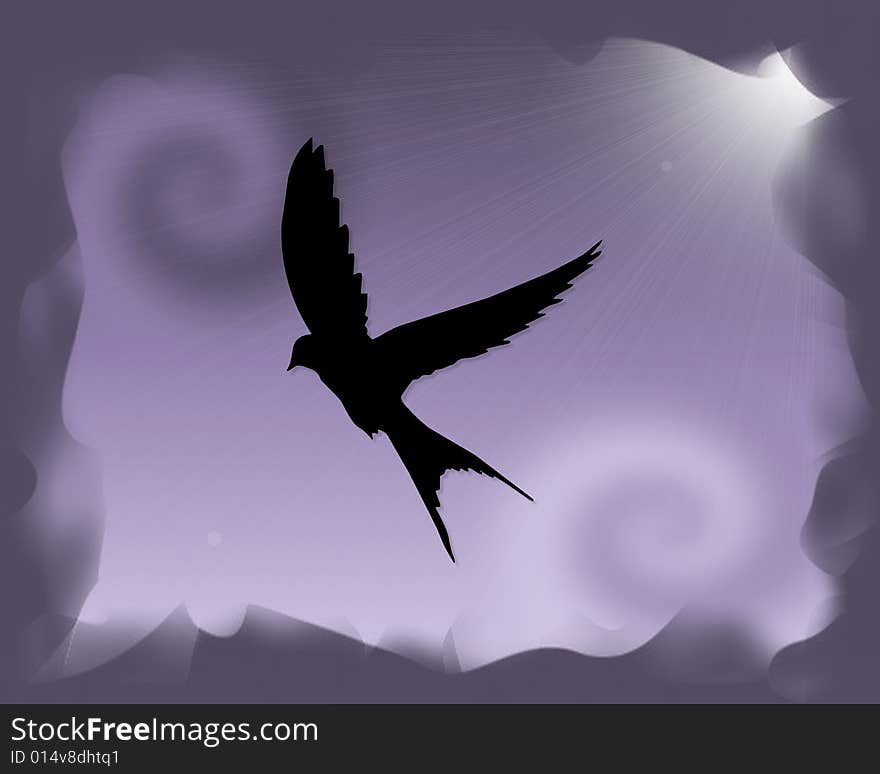 Bird silhouette