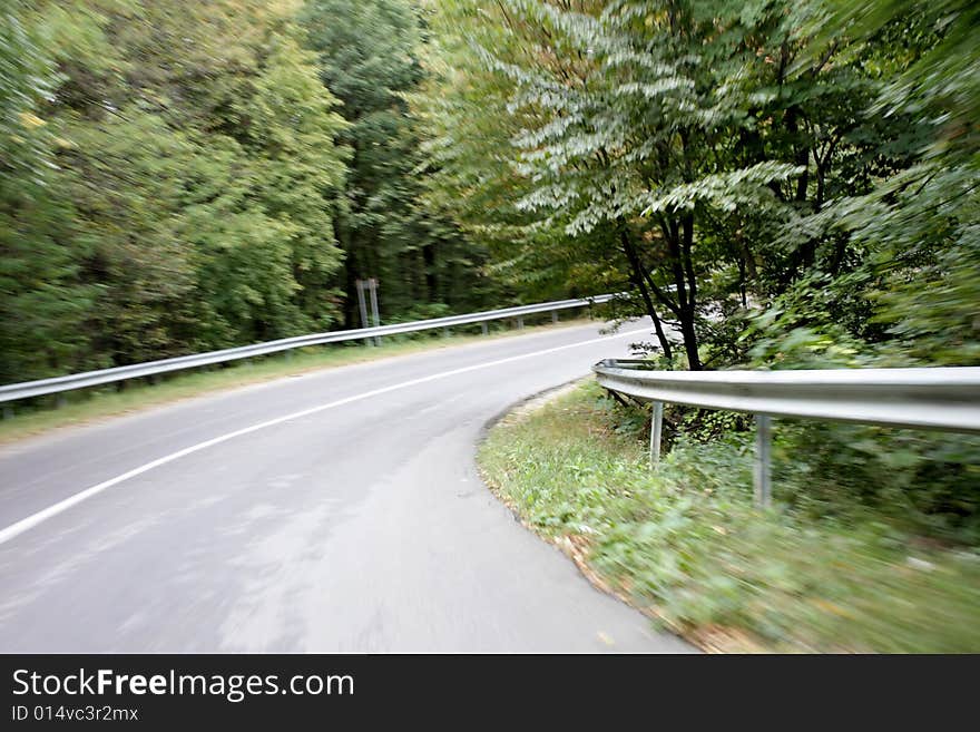 Road through the wood