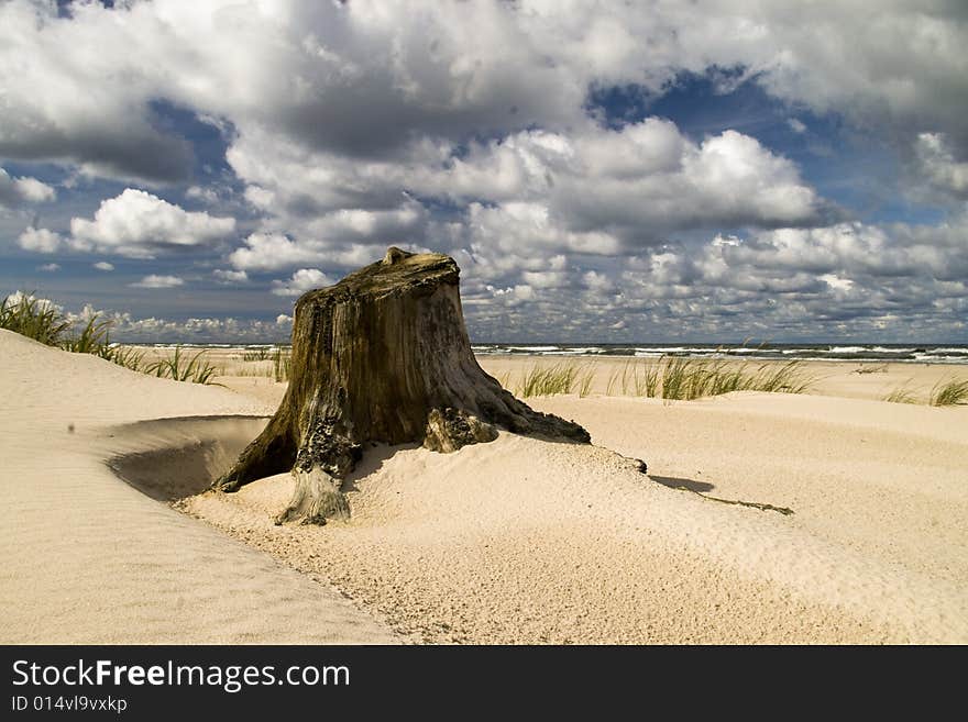 Słowinski National Park - sand dunes on the Baltic Sea. Słowinski National Park - sand dunes on the Baltic Sea