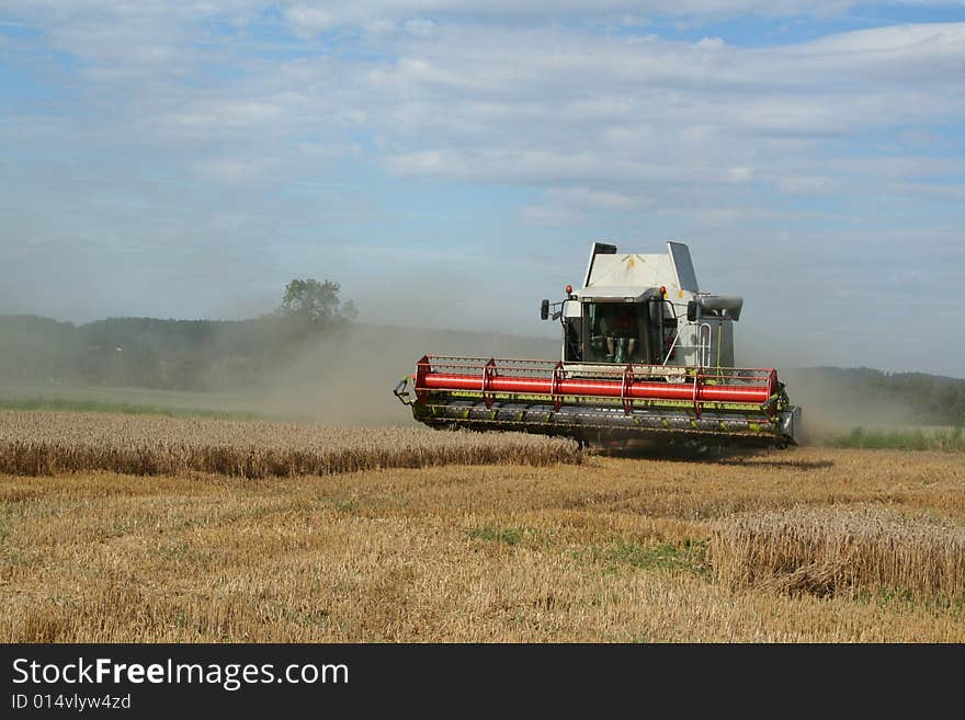 Harvester on a wheat field