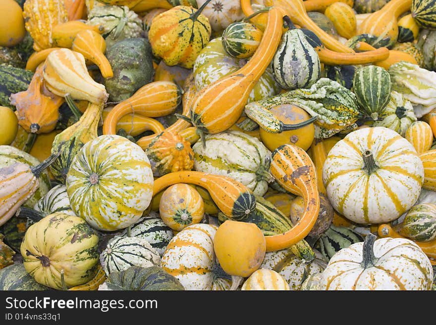 Lots of pumpkins piled up