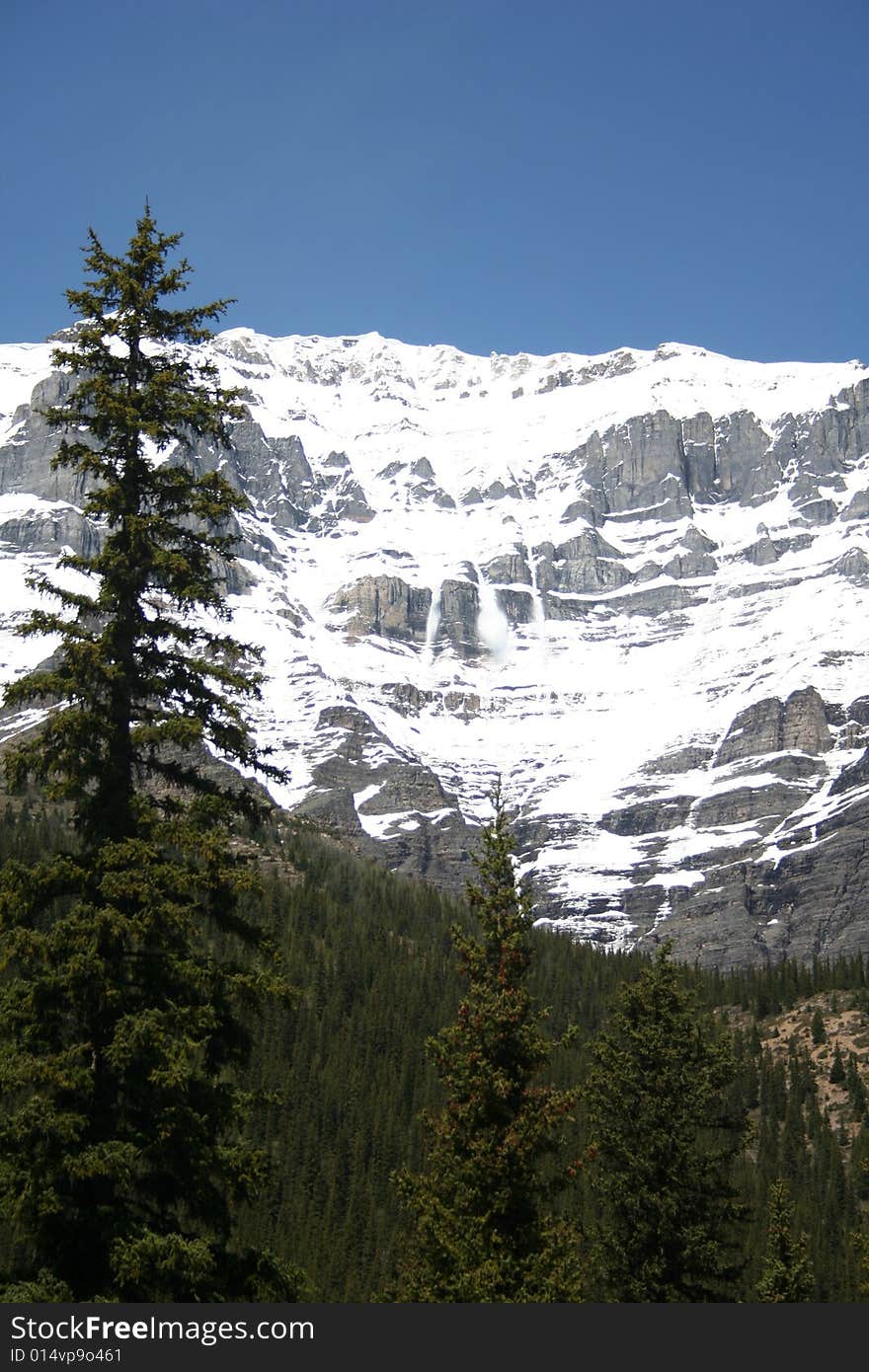 3 avalanches from a distance, forest beneath.