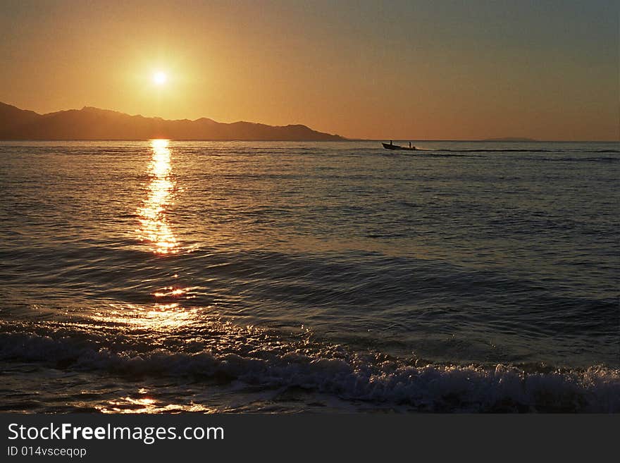 Mexican ponga returning at sunset. Mexican ponga returning at sunset