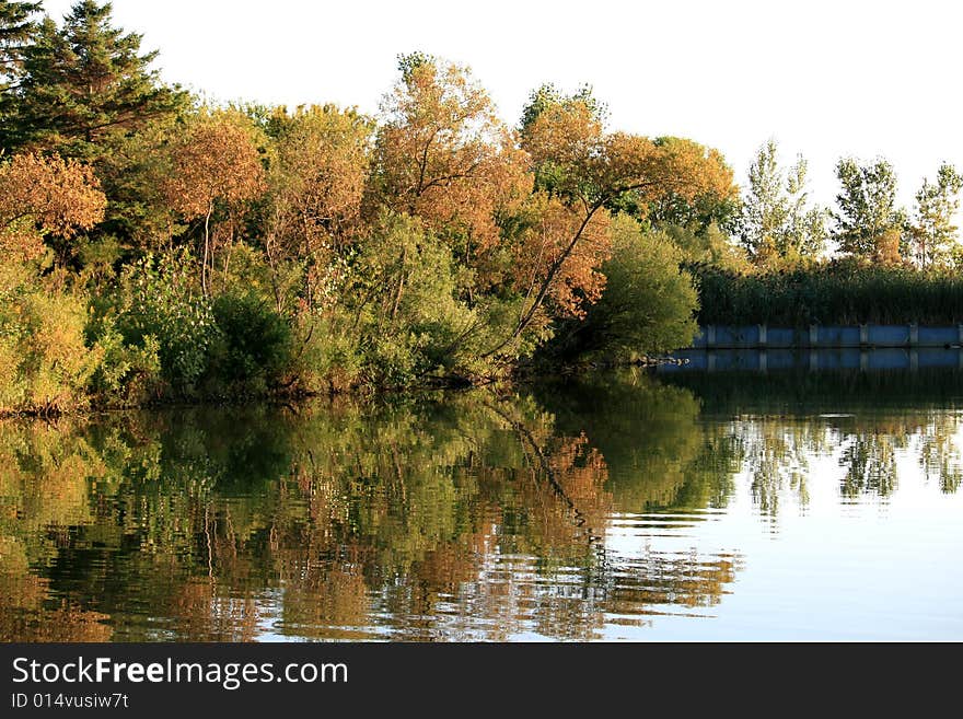 Fall Reflection