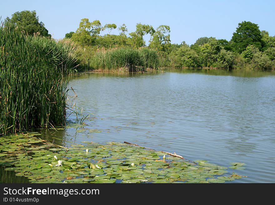 Quiet Lake