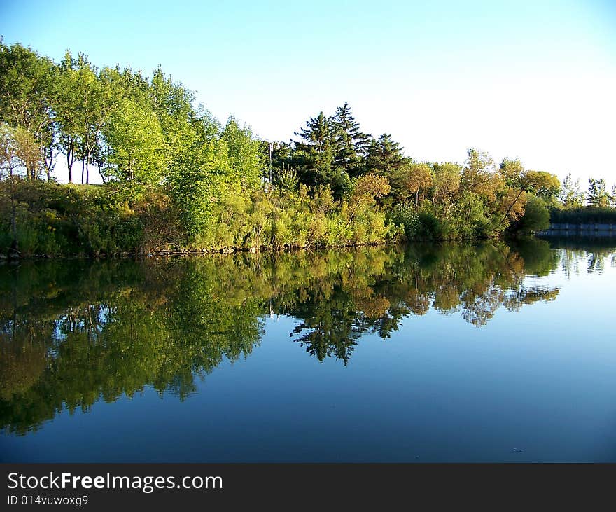 Trees and bush reflecting in the pond. Trees and bush reflecting in the pond