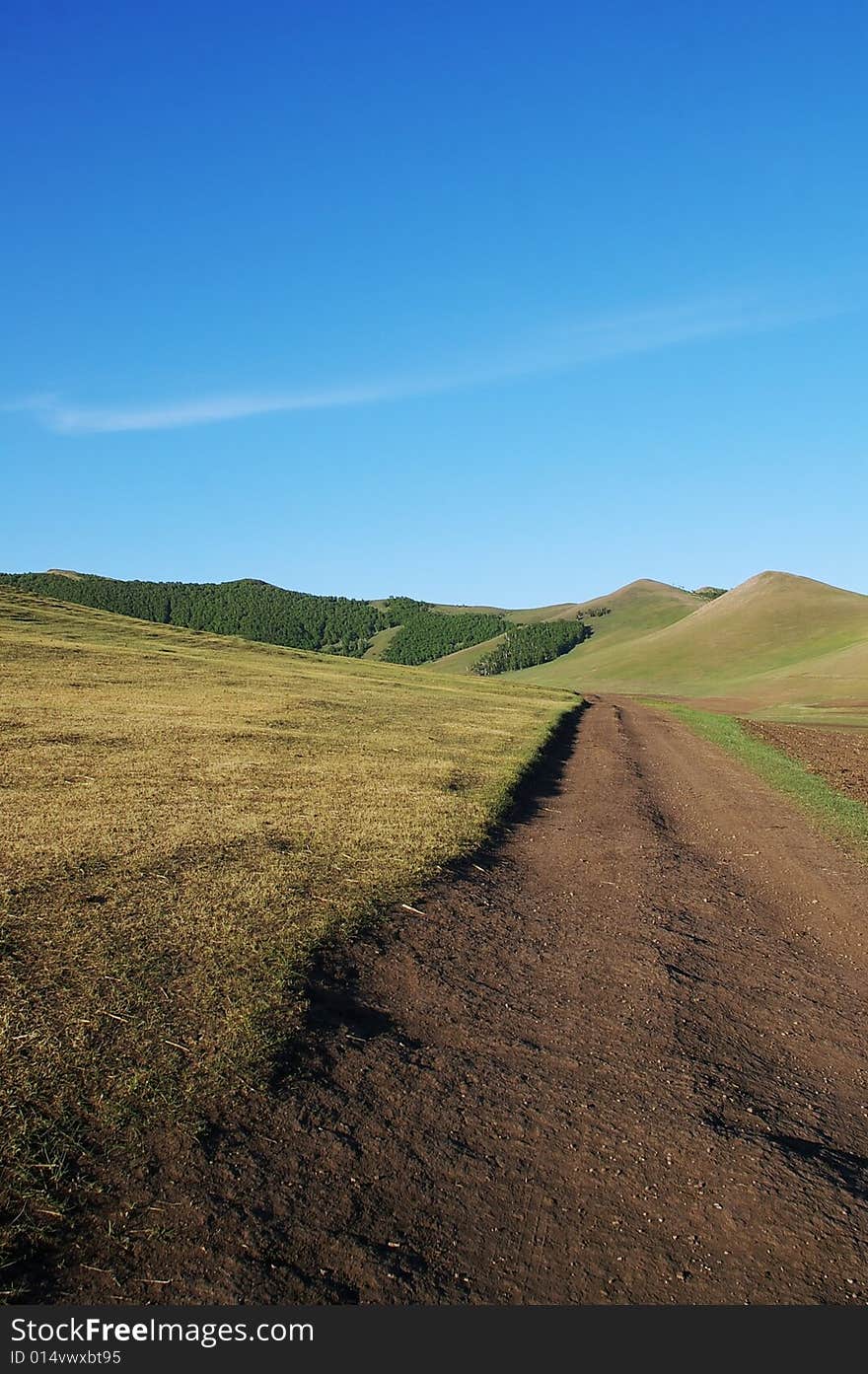 Road and pasture