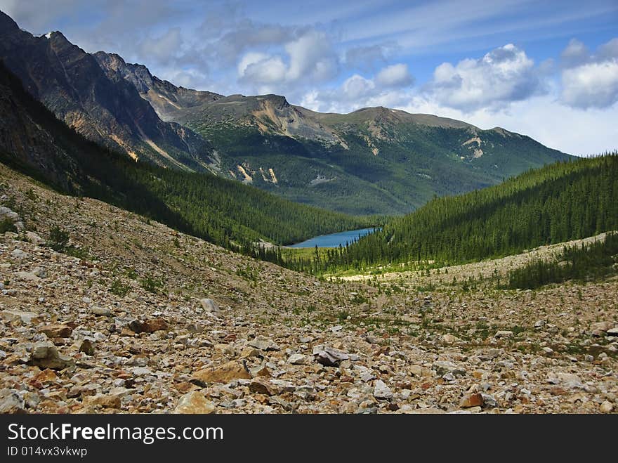 Cavell Meadow,J asper National Park, Alberta, Canada,