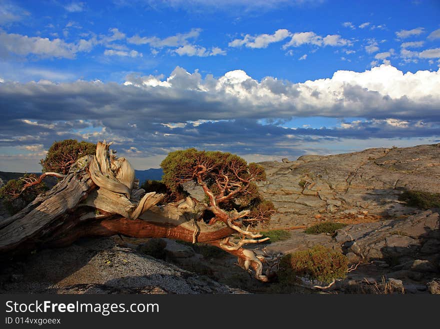 Donner Summit1