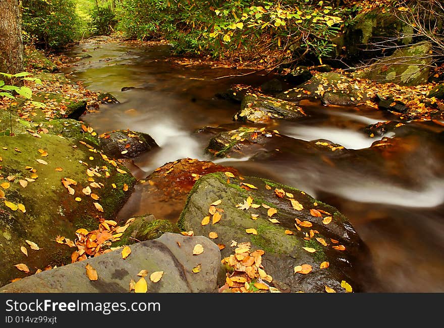 Creek deep in the woods during autumn