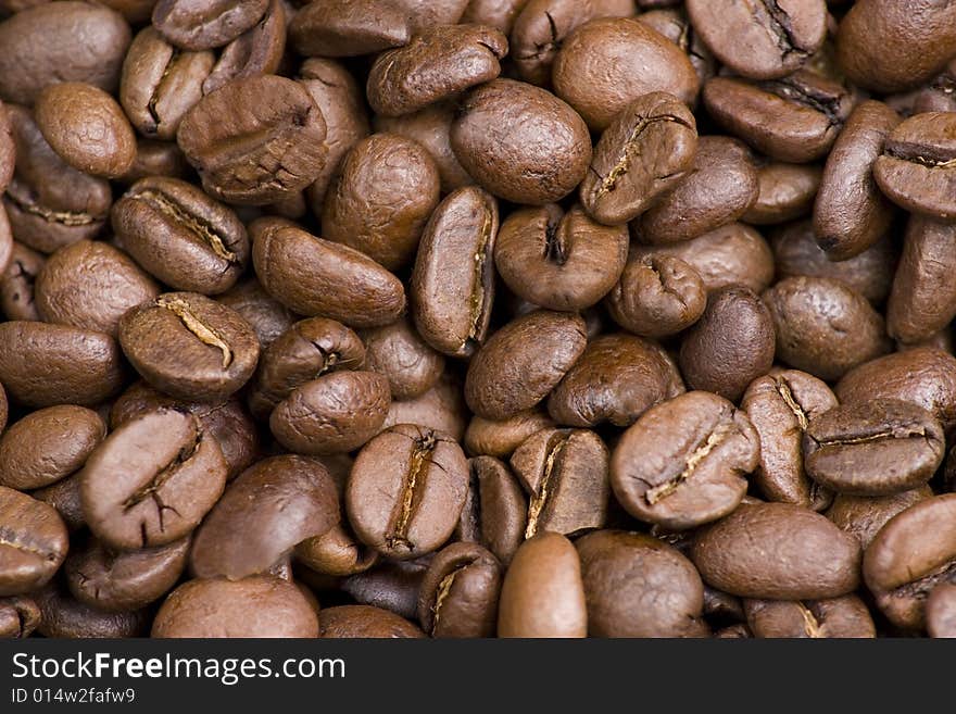 Coffee Beans Close Up