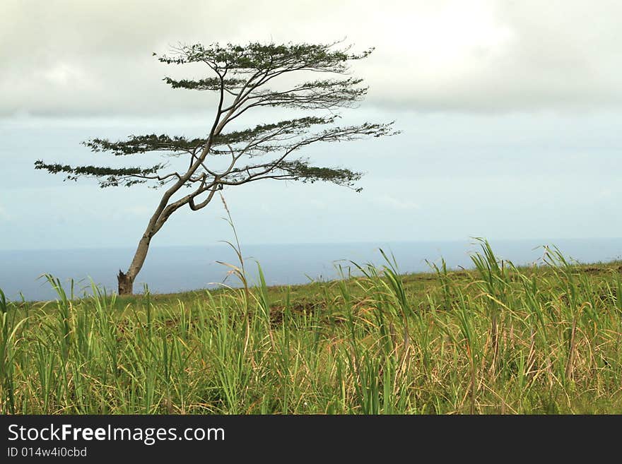 Standing alone