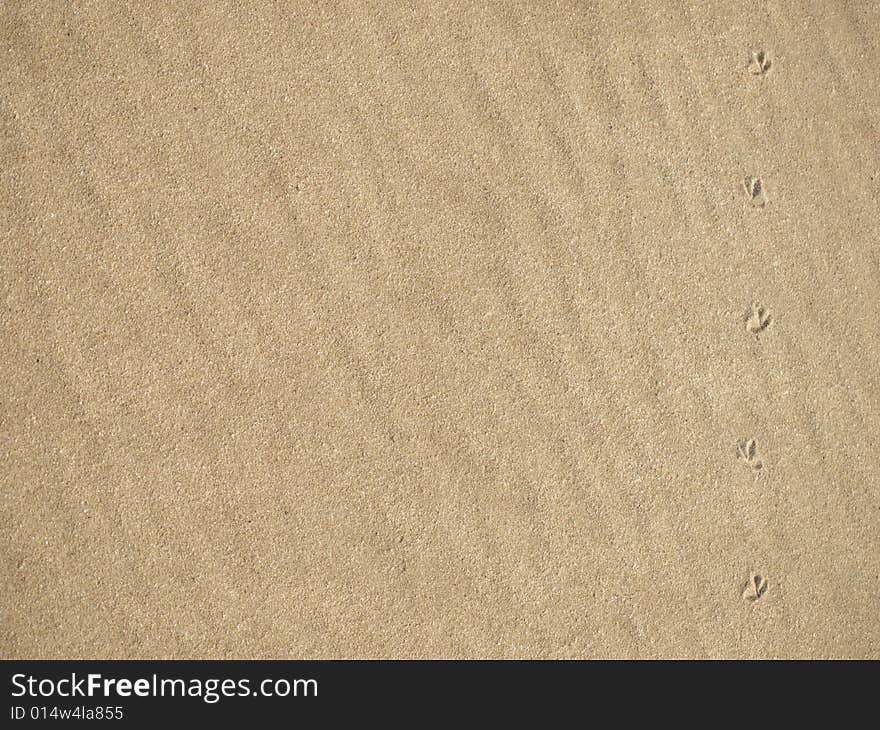 A Wavy beachsand background with small birdfeet tracks on the righthand side making for an inthereisting feature. A Wavy beachsand background with small birdfeet tracks on the righthand side making for an inthereisting feature