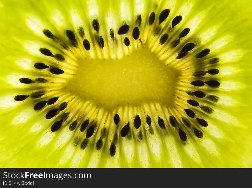 Shot of backlit kiwi fruit