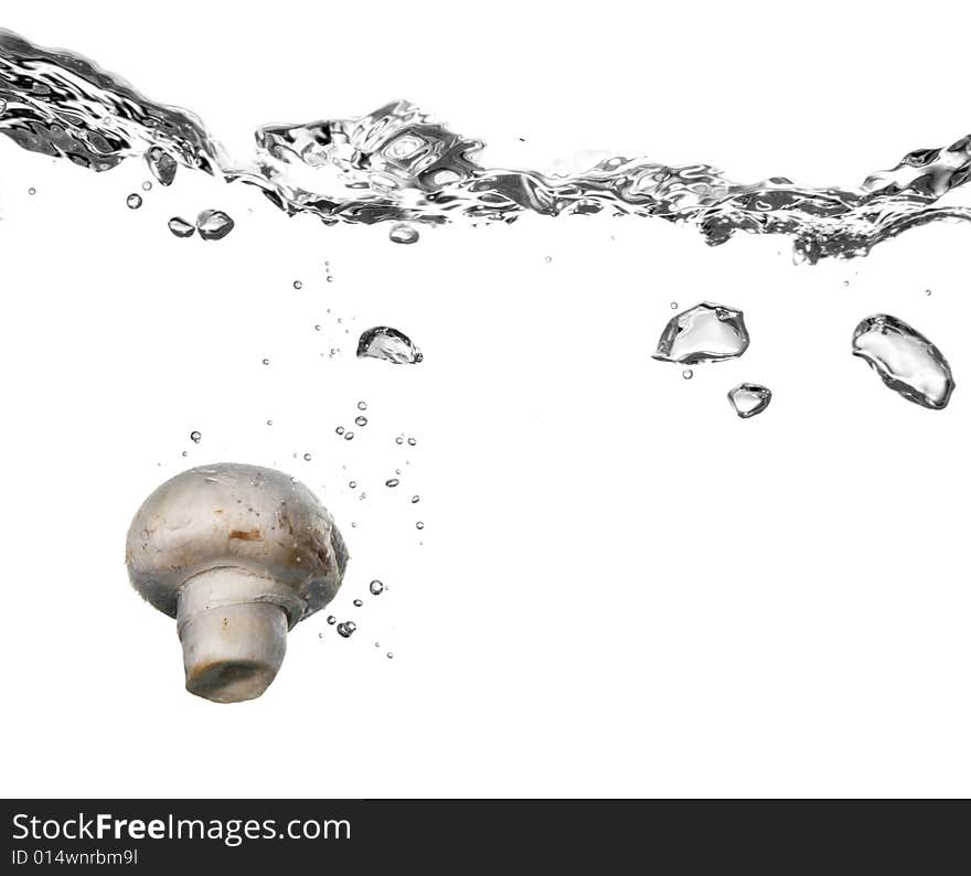 Mushroom splash in water isolated