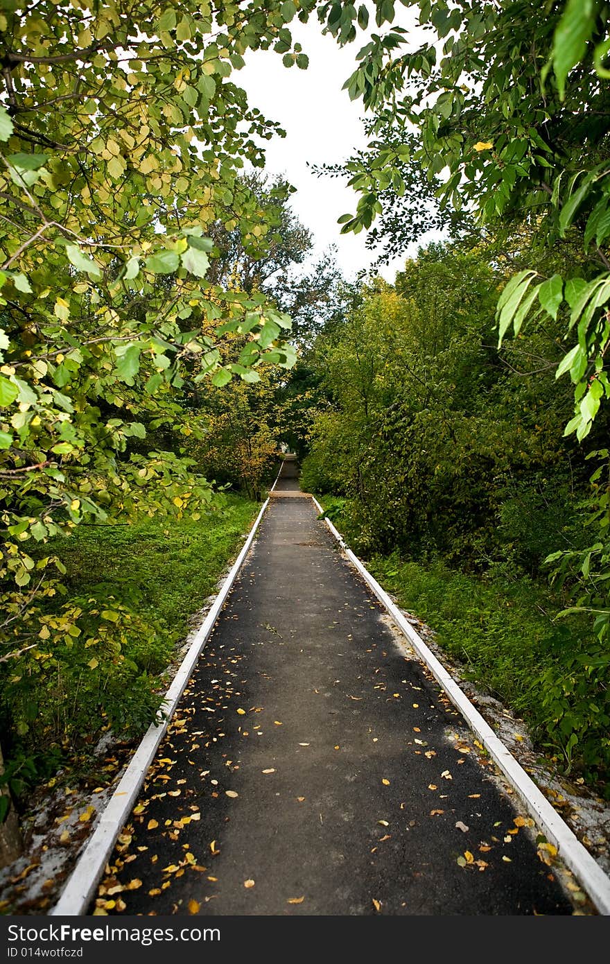 The picture is made during walk on a botanical garden. The picture is made during walk on a botanical garden