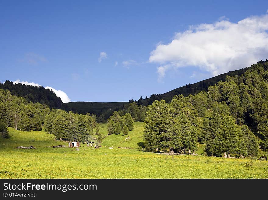 High mountain s summer view