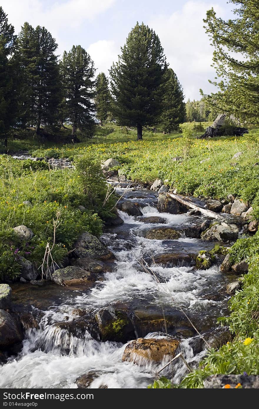 River flow in high mountains, green grass, water and clouds