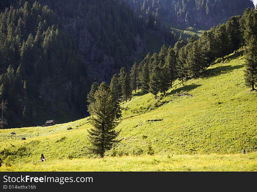 High mountain s summer view