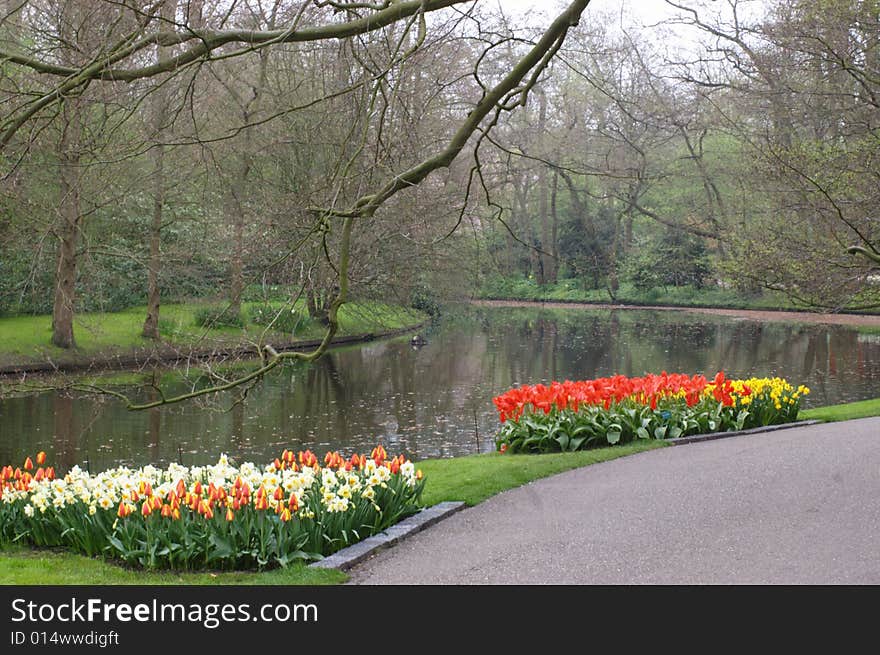 Dutch Garden In Spring