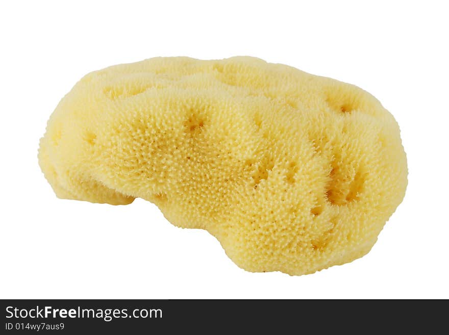 Natural sponge