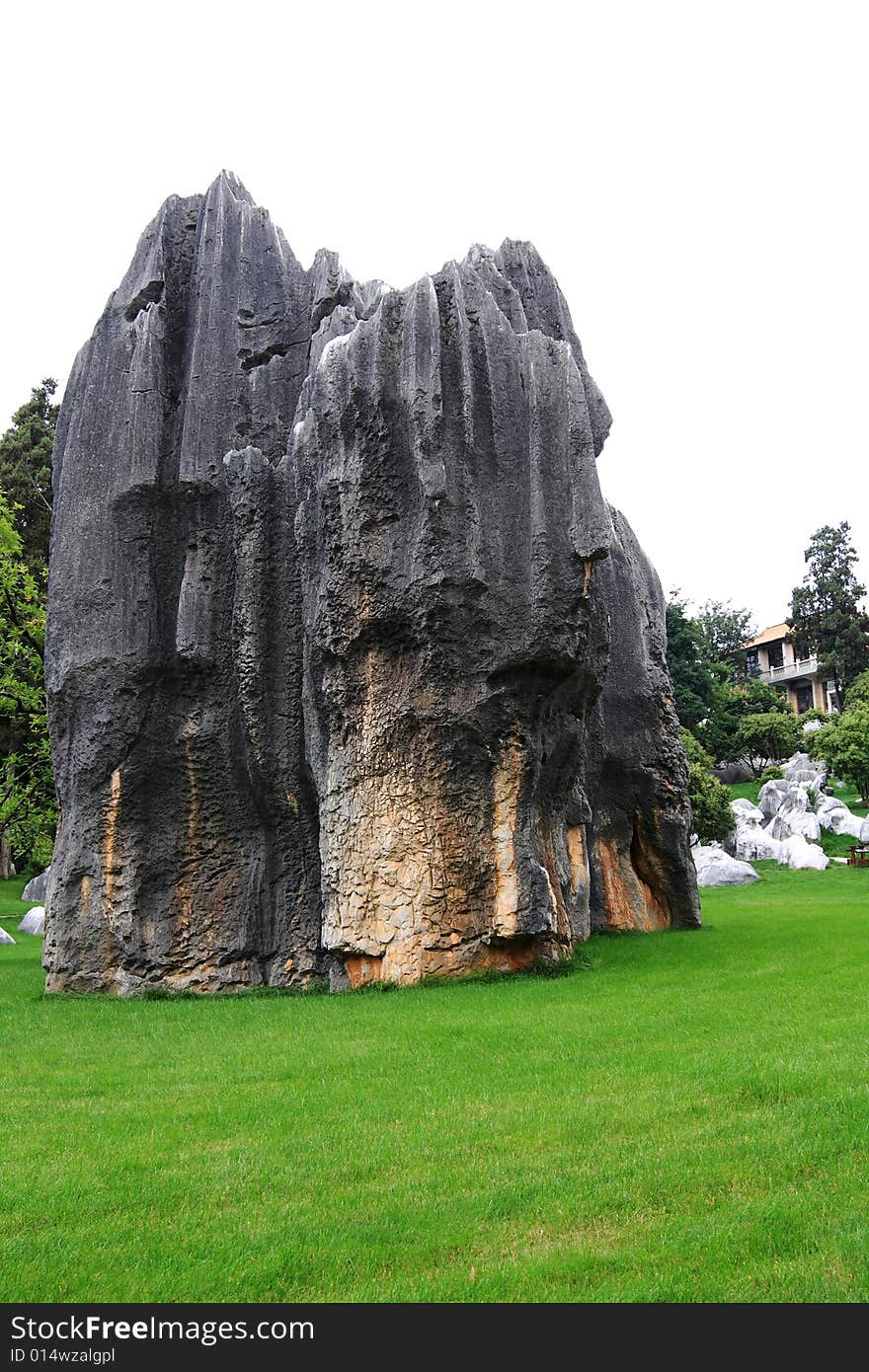 Stone forest