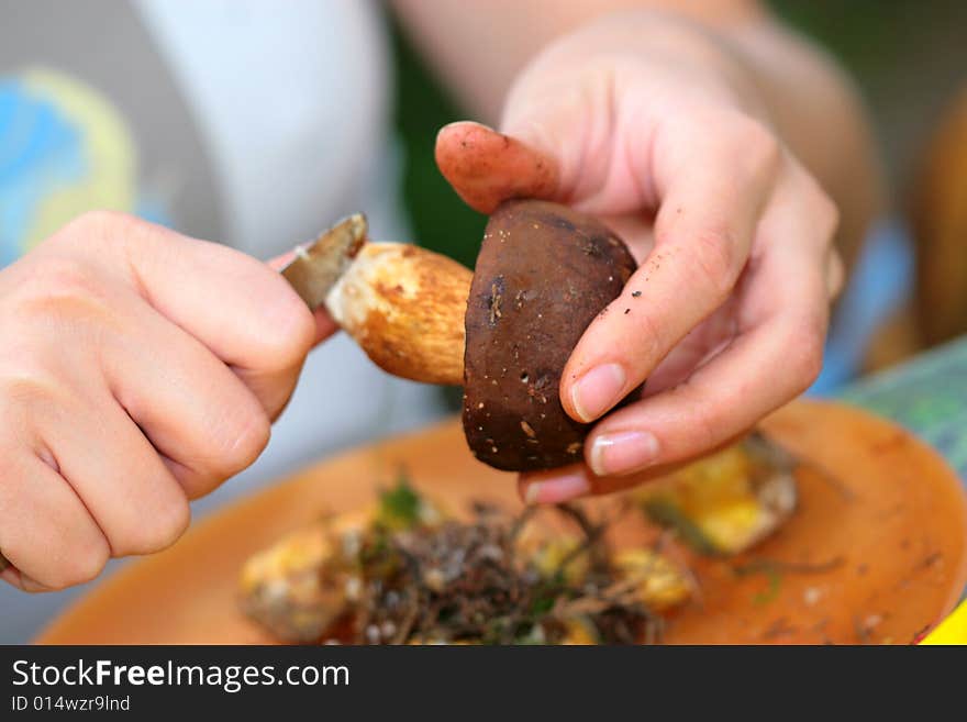 Edible Boletus