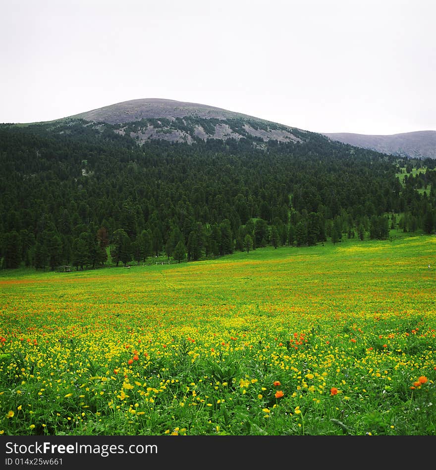 High mountain s summer view